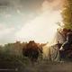 Image for article titled In the Game of Thrones MMORPG, You Win or You Grind